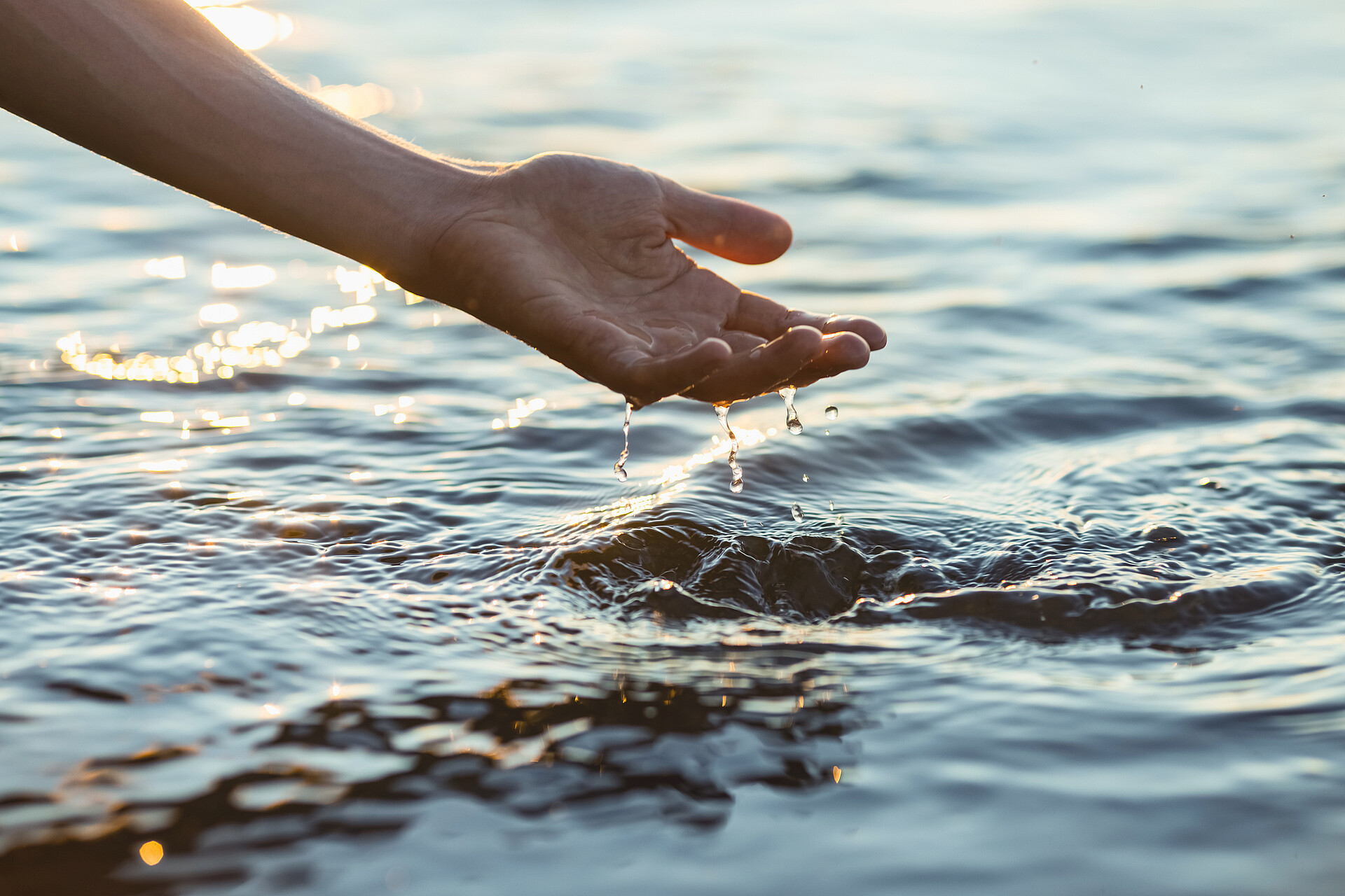 Hand greift ins Wasser